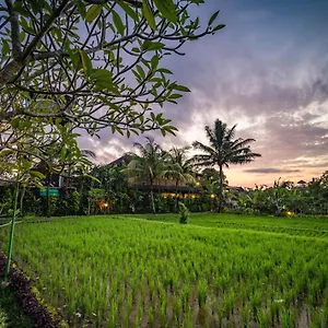  Villa Bliss Luxury Indonesië